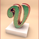 Illustration for article titled The gorgeous alphabet of Alex Persani